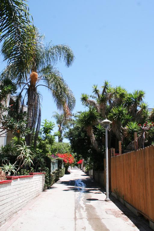 Ellison Los Ángeles